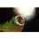 1 Carat Emerald and Diamond Trilogy Engagement Ring in Yellow Gold