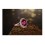2 Carat Pink Sapphire and Diamond Halo Engagement Ring in Rose Gold for Women